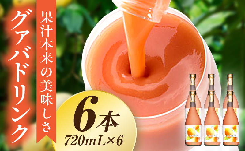 驚きの果実感！グァバドリンク(720ml×6本) 桃のようなまろやかで優しい味わい グァバ ドリンク フルーツドリンク 果汁入り飲料 トロピカルジュース 詰め合わせ 贈答 贈り物 ギフト プレゼント お中元 お歳暮 お取り寄せグルメ_K021-006