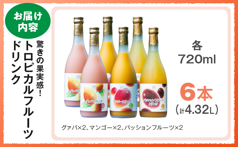 驚きの果実感！トロピカルフルーツドリンク(合計6本・3種各720ml×2本、マンゴー・グァバ・パッションフルーツ) ドリンク フルーツドリンク 果汁入り飲料 トロピカルジュース 飲み比べ 詰め合わせ 贈答 贈り物 ギフト プレゼント_K021-004