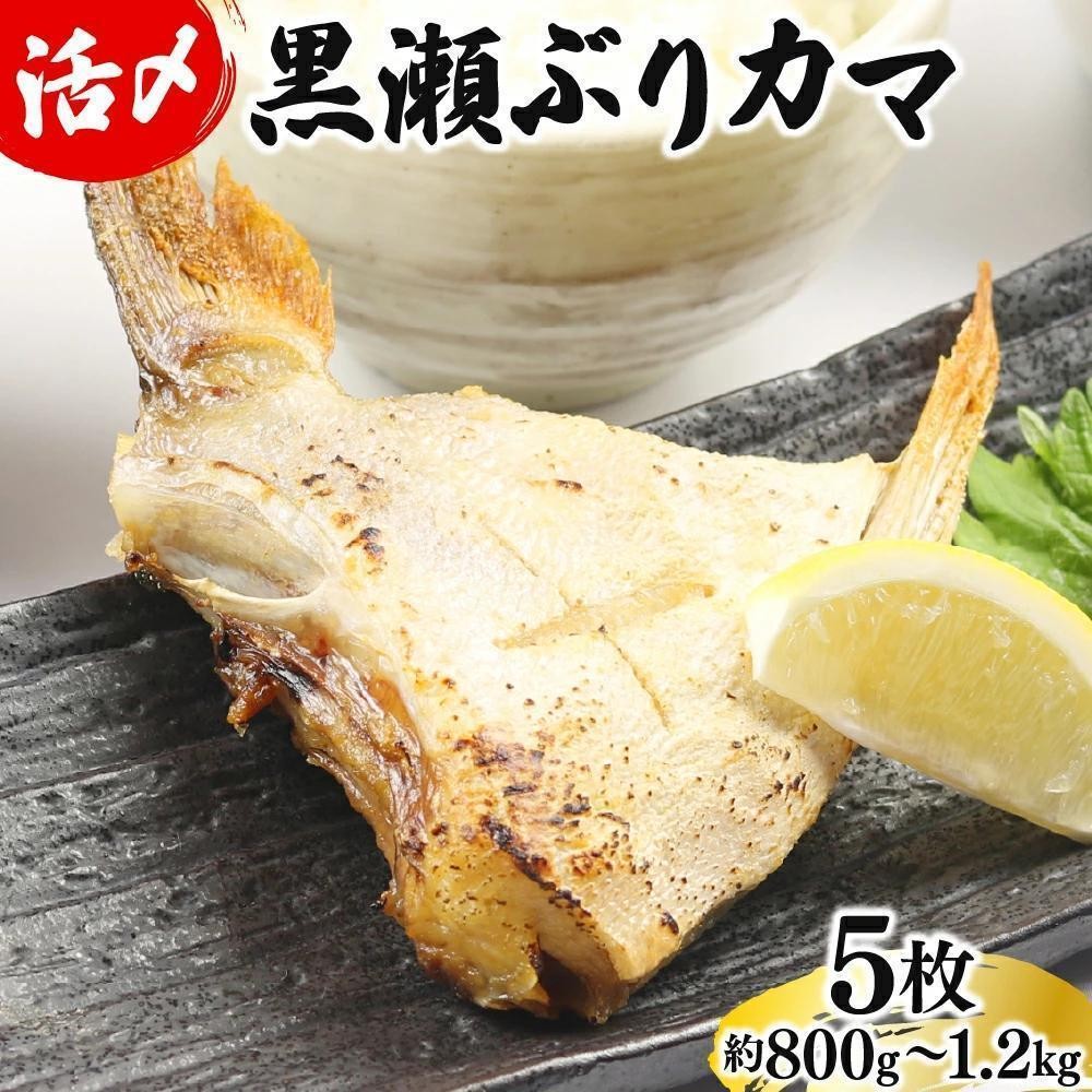 <2026年7月発送>活じめ！黒瀬ぶりカマ（5枚入）（800g～1.2kg前後） ぶり カマ ぶりかま 国産 おすすめ 海鮮 特産品 お取り寄せ グルメ ギフト 塩焼き 煮付け 黒瀬ぶり 家庭用 おかず 魚_K001-015-2607