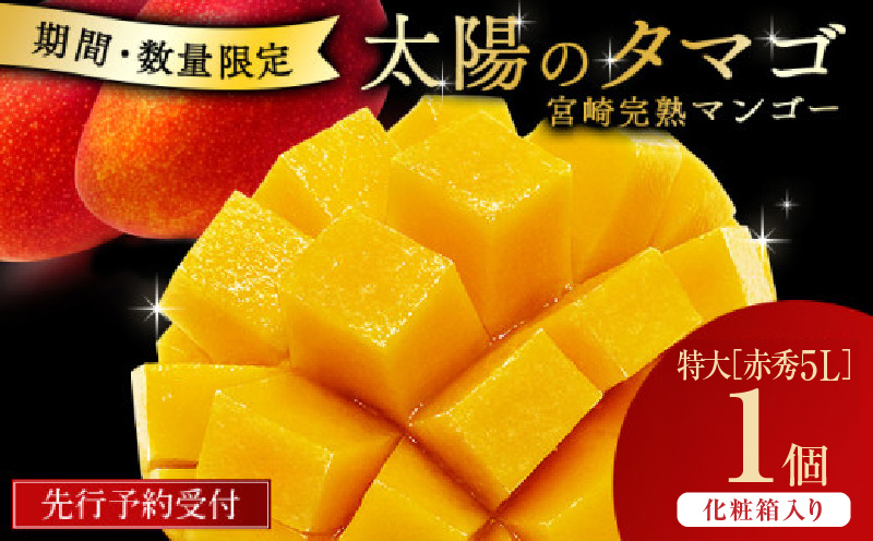 宮崎県串間市産 完熟マンゴー 太陽のタマゴ 特大(5L×1個) 果物 フルーツ デザート スイーツ マンゴー 太陽のたまご ギフト 贈り物 贈答 プレゼント おすすめ 特産品 お取り寄せ 化粧箱入り 串間市 _K008-025