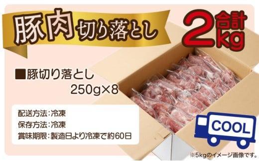 縲2026蟷エ8譛育匱騾√玖ア夊i蛻繧願誠縺ィ縺 250gテ8繝代ャ繧ッ 蜷郁ィ2kg_K033-021-2608