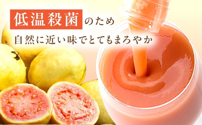 驚きの果実感！トロピカル飲み比べセット ハーフボトル20本セット(合計20本・各300ml×5本、マンゴー、グァバ、パッションフルーツ、日向夏)_K021-029
