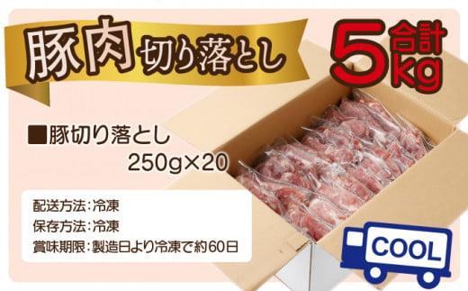 縲2026蟷エ7譛育匱騾√玖ア夊i蛻繧願誠縺ィ縺 250gテ20繝代ャ繧ッ 蜷郁ィ5kg_K033-030-2607