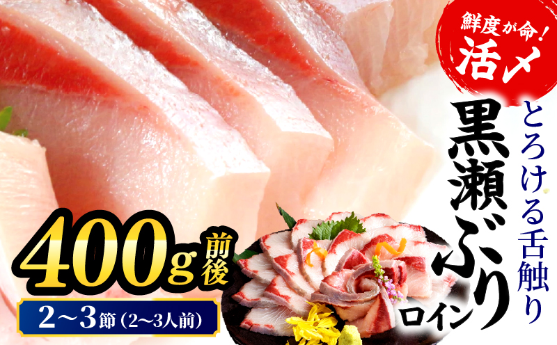 ＜2026年5月発送分＞活じめ！黒瀬ぶりの生鮮ブリロイン2節〜3節（400g前後）_K001-008