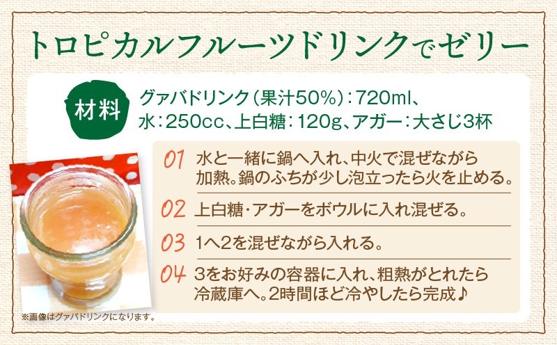 驚きの果実感！トロピカル飲み比べセット ハーフボトル20本セット(合計20本・各300ml×5本、マンゴー、グァバ、パッションフルーツ、日向夏)_K021-029