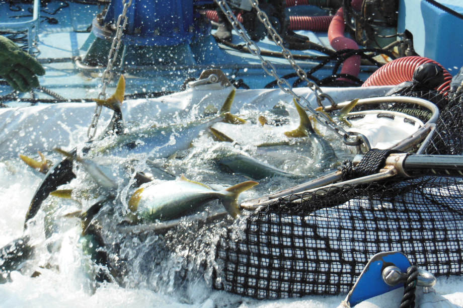 地域産業の振興に関する事業