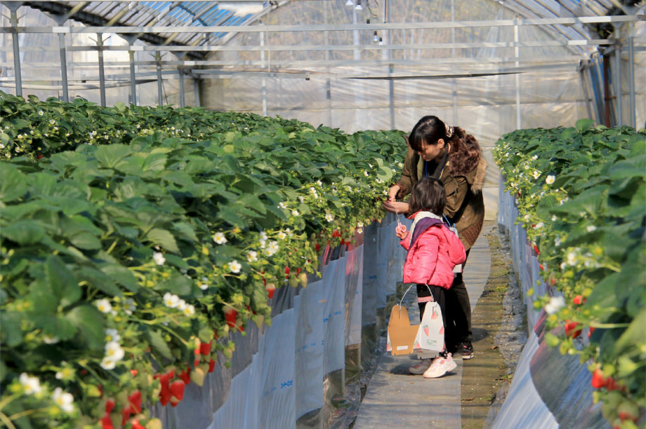 高齢者支援、子育て支援等の福祉向上に関する事業