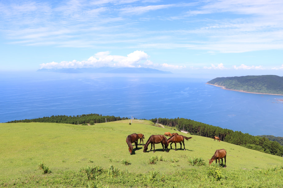 都井岬の振興に関する事業