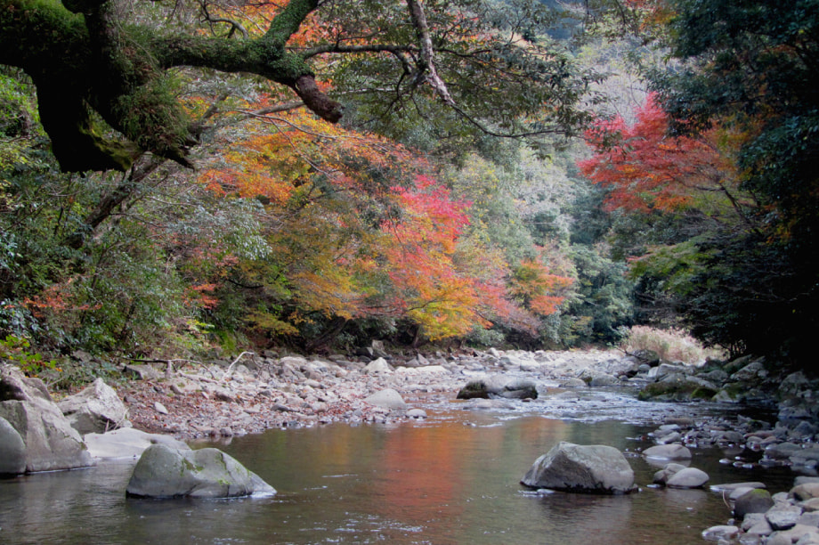 自然環境及び地域景観の保全及び活用に関する事業