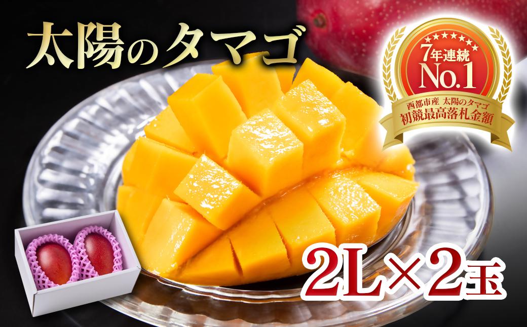 5月発送【先行予約】最高級ブランド『太陽のタマゴ』2L×2個【糖度15度以上】宮崎県西都市産完熟マンゴー＜3.6-5＞宮崎マンゴー 果物 フルーツ 甘い