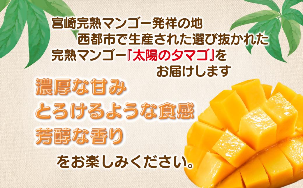 5月発送【先行予約】最高級ブランド『太陽のタマゴ』2L×2個【糖度15度以上】宮崎県西都市産完熟マンゴー＜3.6-5＞宮崎マンゴー 果物 フルーツ 甘い