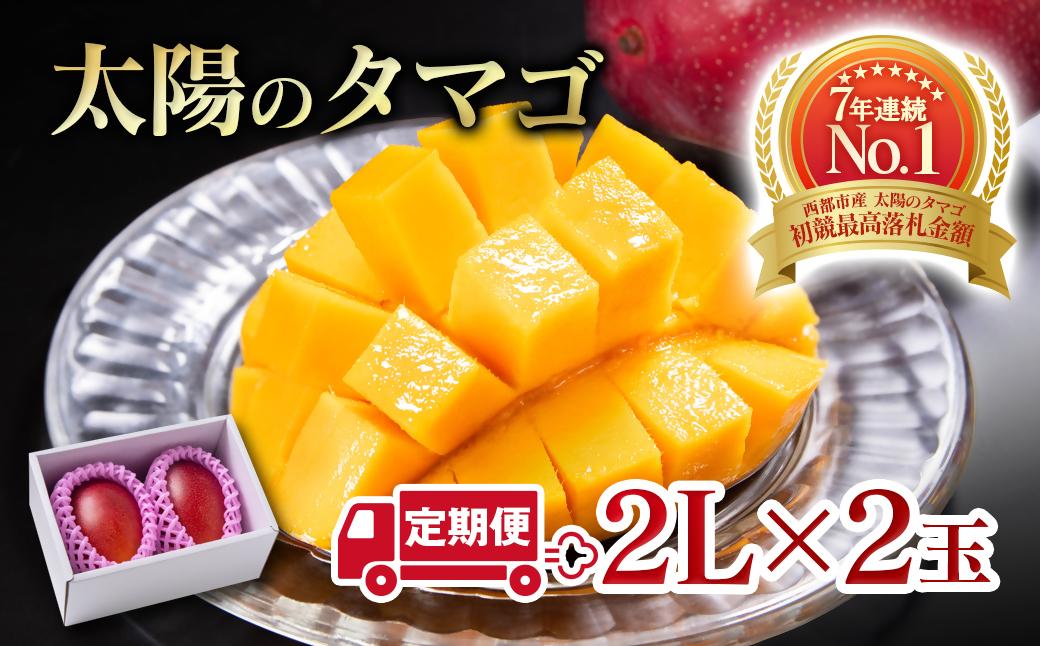 【２カ月定期便】先行予約　最高級ブランド『太陽のタマゴ』2L×2個×２回【糖度15度以上】宮崎県西都市産完熟マンゴー＜7.5-13＞宮崎マンゴー 果物 フルーツ 甘い