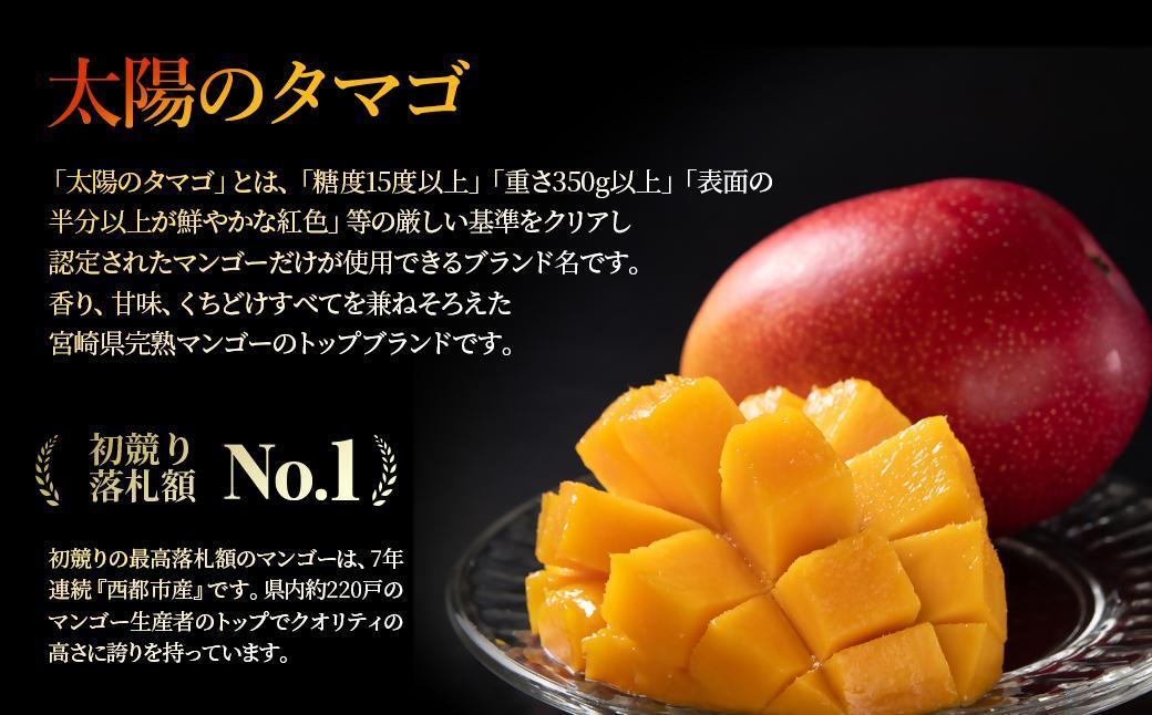 【２カ月定期便】先行予約　最高級ブランド『太陽のタマゴ』3L×2個×２回【糖度15度以上】宮崎県西都市産完熟マンゴー＜8.5-8＞宮崎マンゴー 果物 フルーツ 甘い