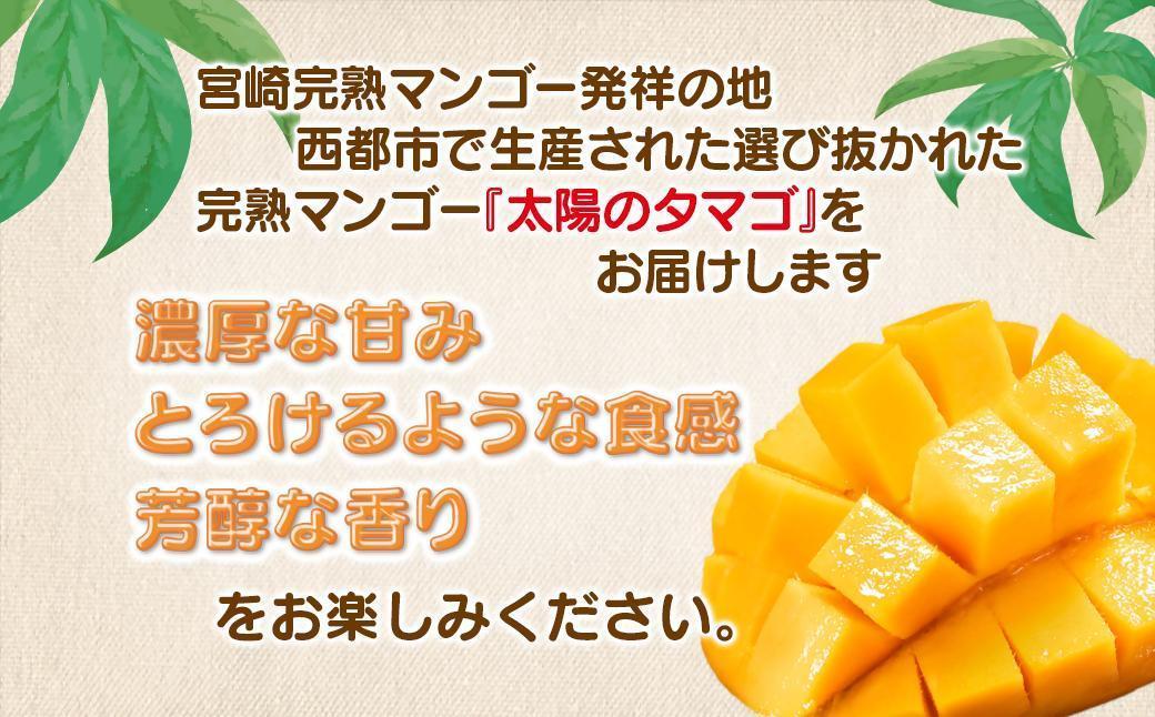 6月発送【先行予約】最高級ブランド『太陽のタマゴ』4L×2個【糖度15度以上】宮崎県西都市産完熟マンゴー＜5-16＞宮崎マンゴー 果物 フルーツ 甘い