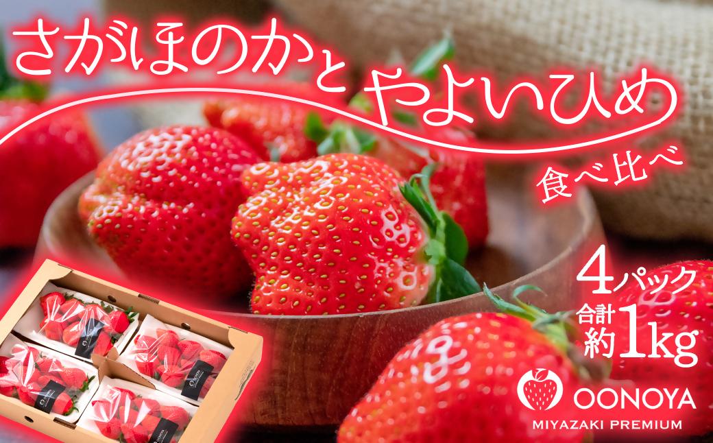 闍コ螟ァ驥主ア九後d繧医>縺イ繧シ縺輔′縺サ縺ョ縺九榊宍驕ク縺縺。縺 鬟溘∋豈斐∋繧サ繝繝 250gテ暦シ斐ヱ繝繧ッ 邏シ遡g 螳ョ蟠守恁 隘ソ驛ス蟶ら肇シ2-105シ樊棡迚ゥ 縺上□繧ゅョ 繝輔Ν繝シ繝 螳ョ蟠守恁 隘ソ驛ス蟶