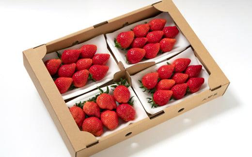 èºå€§éå±ããããã²ãïŒããã»ã®ããå³éžãã¡ã é£ã¹æ¯ã¹ã»ãã 250gÃïŒãã㯠çŽïŒkg å®®åŽç 西éœåžç£ïŒ2-105ïŒæç© ãã ãã® ãã«ãŒã å®®åŽç 西éœåž