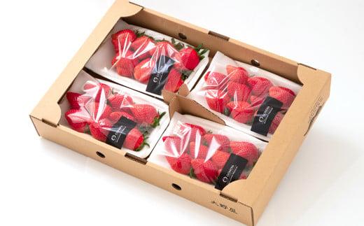 èºå€§éå±ããããã²ãïŒããã»ã®ããå³éžãã¡ã é£ã¹æ¯ã¹ã»ãã 250gÃïŒãã㯠çŽïŒkg å®®åŽç 西éœåžç£ïŒ2-105ïŒæç© ãã ãã® ãã«ãŒã å®®åŽç 西éœåž