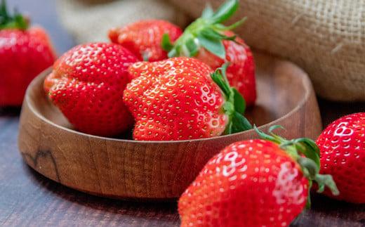 èºå€§éå±ããããã²ãïŒããã»ã®ããå³éžãã¡ã é£ã¹æ¯ã¹ã»ãã 250gÃïŒãã㯠çŽïŒkg å®®åŽç 西éœåžç£ïŒ2-105ïŒæç© ãã ãã® ãã«ãŒã å®®åŽç 西éœåž