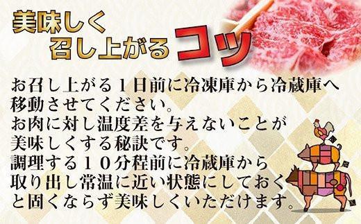 宮崎県産黒毛和牛 赤身焼肉 500g BBQ 鉄板焼肉 宮崎県産 ミヤチク＜47-2b＞●