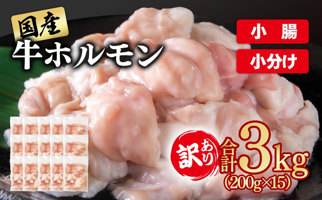 訳あり牛ホルモン3㎏ 小分け200g×15 国産 ホルモン もつ鍋 焼肉用 国産牛 牛モツ コラーゲン＜2-111＞