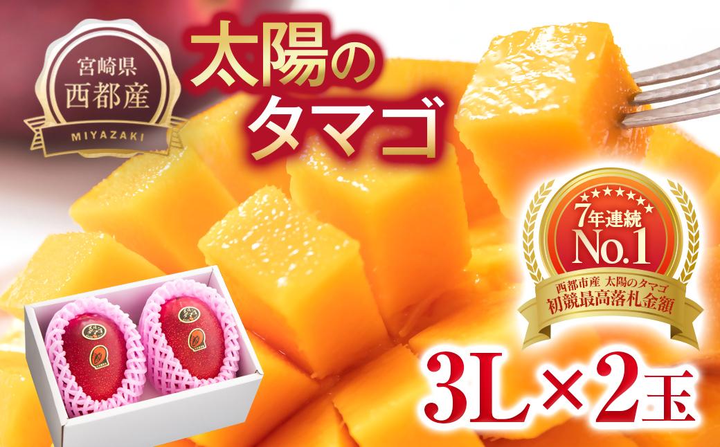 【先行予約】最高級ブランド『太陽のタマゴ』大玉 3L×2個【糖度15度以上】宮崎県西都市産完熟マンゴー＜3.1-3＞2026年発送