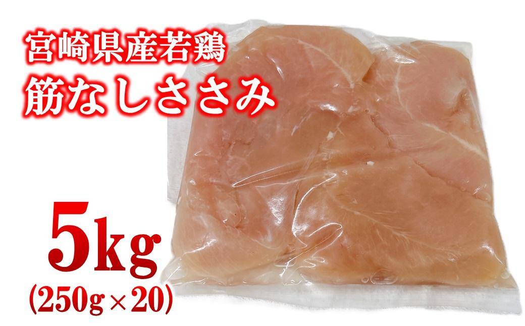 宮崎県産若鶏 筋なしささみ 5kg 小分け250ｇ×20パック＜2.3-4＞