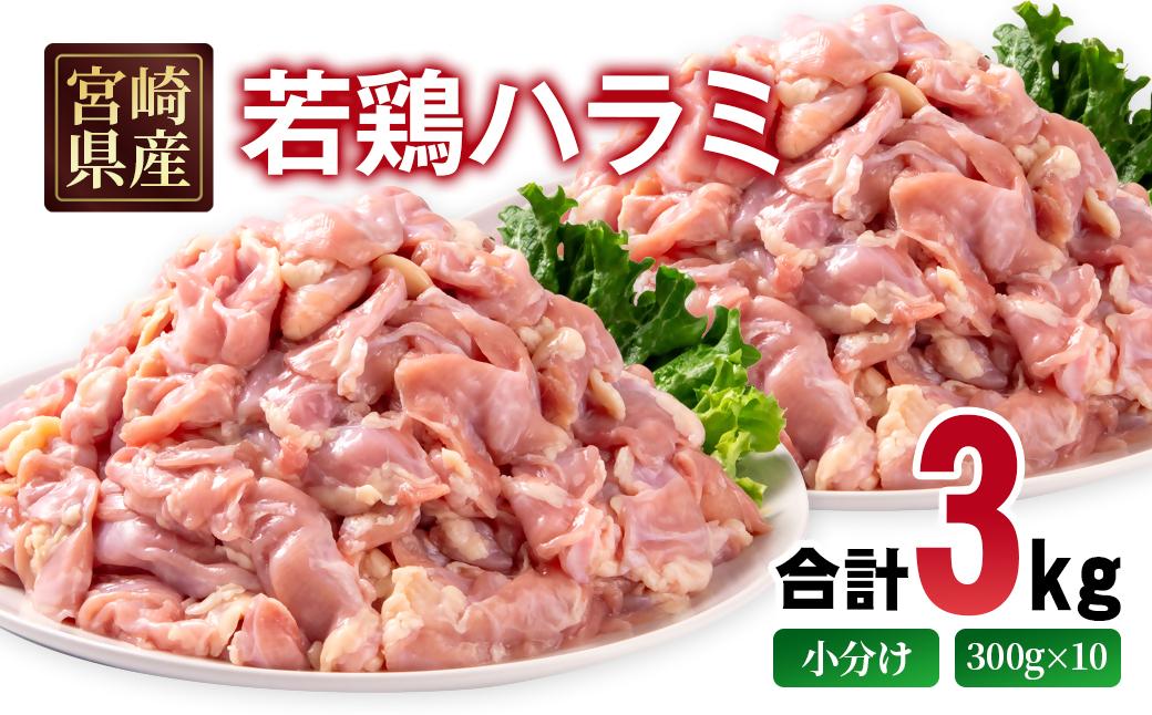 宮崎県産若鶏 ハラミ 3kg 小分け 300ｇ×10パック＜1.5-237＞