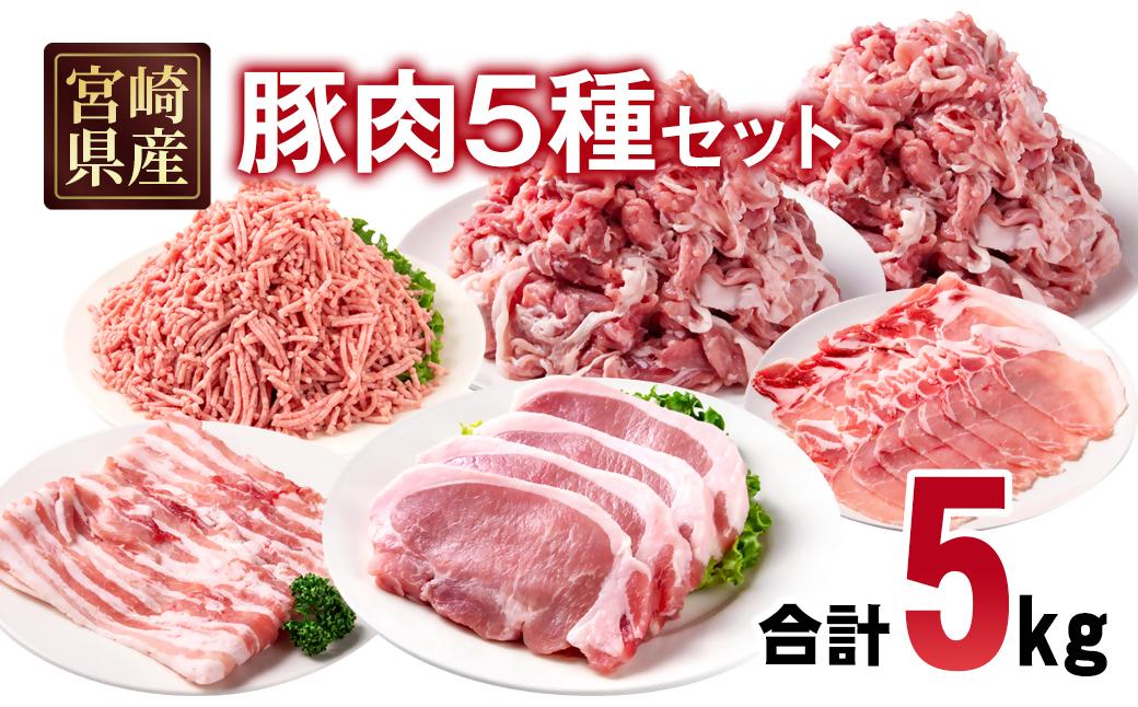 宮崎県産豚肉 5種 合計5kg セット 小分け24パック＜70-25a＞
