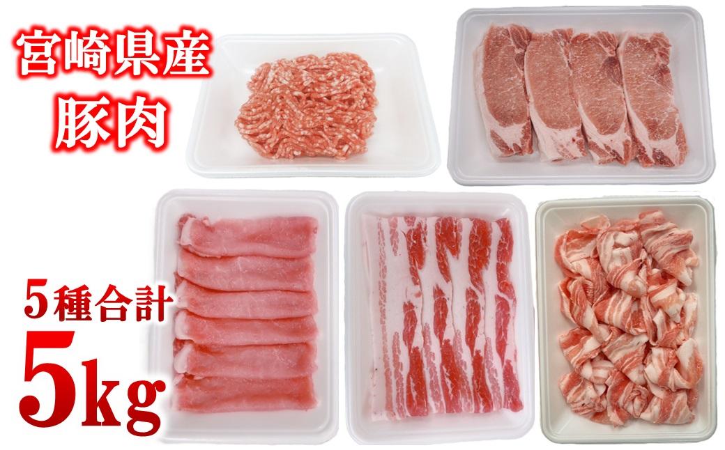宮崎県産豚肉 5種 合計5kg セット 小分け24パック＜2-109＞