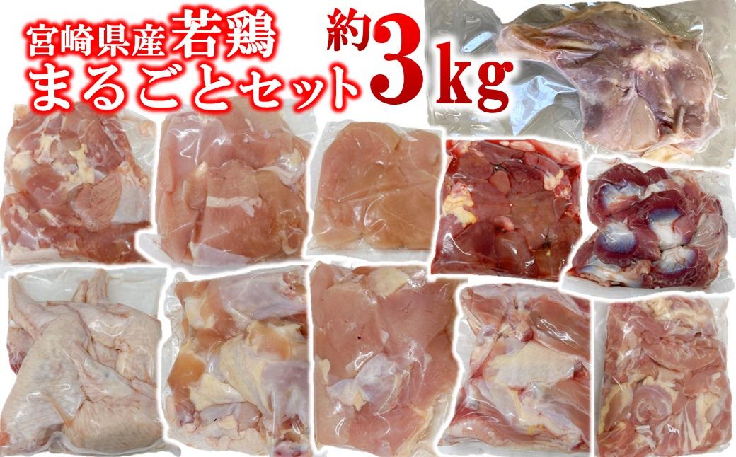 宮崎県産若鶏 11種 合計3.05kgセット 小分け もも肉 むね肉 筋なしささみ 砂肝等々 小分け 11パック＜1.4-34＞