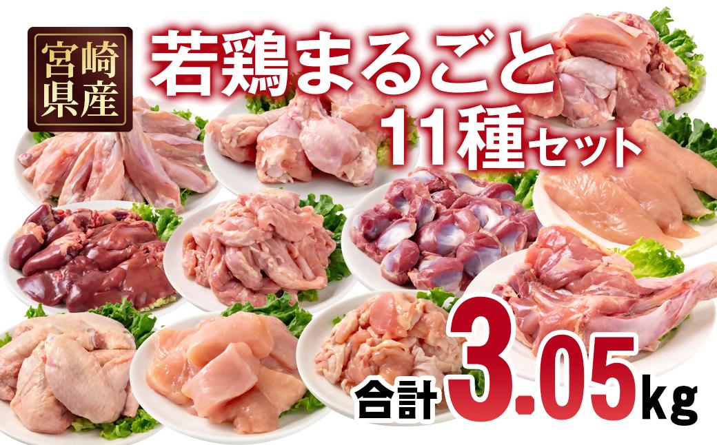 宮崎県産若鶏 11種 合計3.05kgセット 小分け もも肉 むね肉 筋なしささみ 砂肝等々 小分け 11パック＜70-8a＞