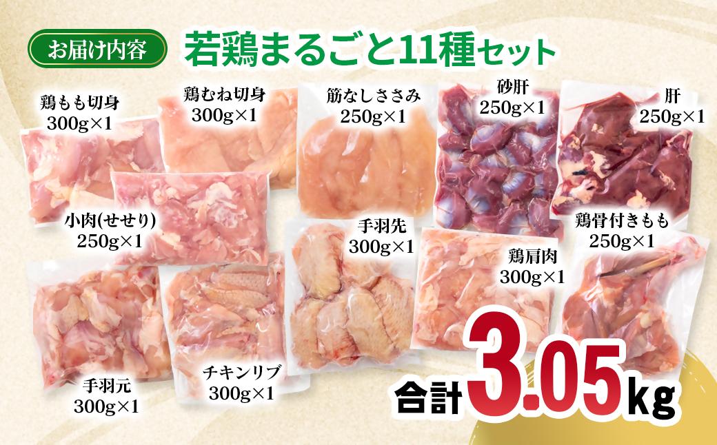 宮崎県産若鶏 11種 合計3.05kgセット 小分け もも肉 むね肉 筋なしささみ 砂肝等々 小分け 11パック＜70-8a＞