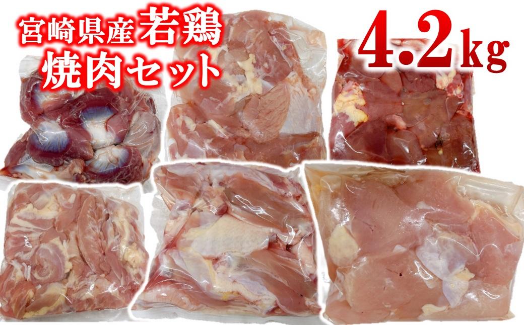 宮崎県産若鶏 6種 合計4.2kg 小分け もも肉 砂肝 手羽中ハーフ等々6種 小分け 15パック＜1.8-32＞