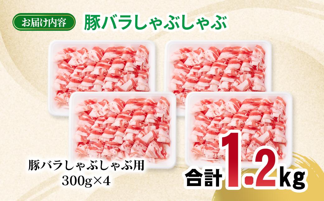 宮崎県産豚肉 豚バラスライス しゃぶしゃぶ 1.2kg(300g×4パック) 小分け＜70-20a＞