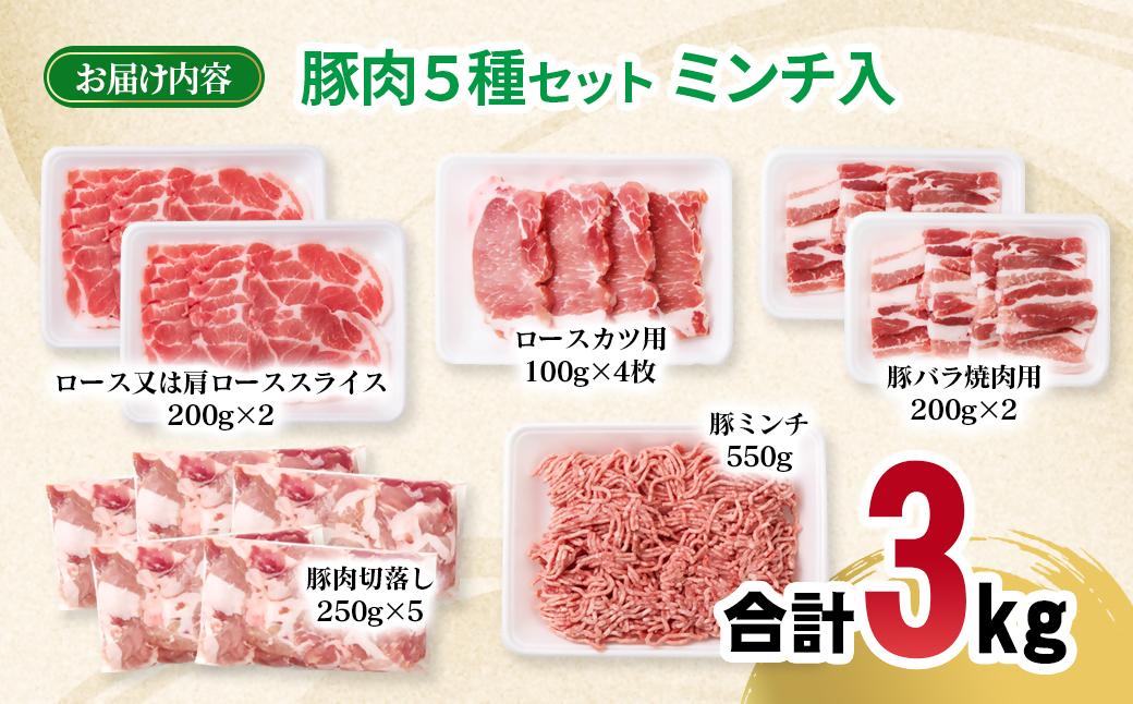 宮崎県産豚肉 5種 合計3kgセット スライス とんかつ 焼肉 切り落とし ミンチ 小分け 11パック＜1.5-238＞