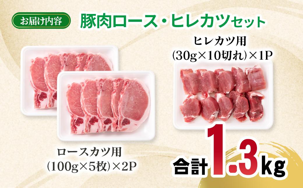 宮崎県産豚肉 ロース・ヒレカツセット 合計20枚＜70-19a＞