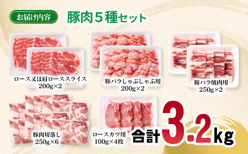 宮崎県産豚肉 5種 合計3.2kgセット 小分け 13パック 切り落とし ロース バラ＜70-23a＞