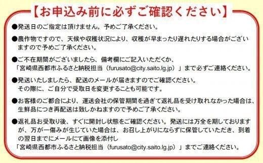 【先行予約】訳あり 糖度12度以上 西都市産完熟マンゴー 4L×3玉　2026年発送＜2.2-21＞