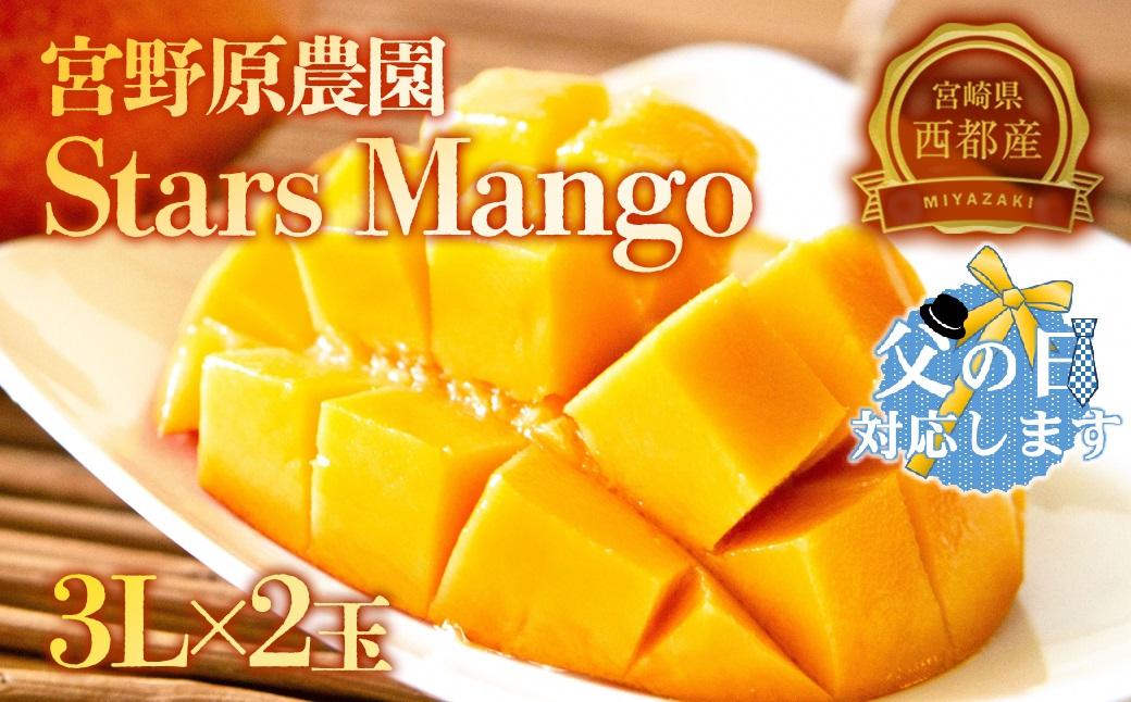【父の日ギフト】糖度13度以上　宮野原農園 スターズマンゴー3Lサイズ2個 完熟マンゴー 生産者直送＜67-2a＞2026年発送