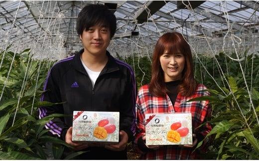 ãç¶ã®æ¥ã®ãããç³åºŠ13床以äžãå®®éå蟲å ã¹ã¿ãŒãºãã³ãŽãŒ3Lãµã€ãº2å å®çãã³ãŽãŒ çç£è
çŽéïŒ67-2aïŒ2026幎çºé