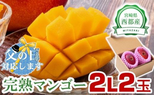 【父の日ギフト】2026年発送 西都市産完熟マンゴー 2L×2玉 糖度12度以上＜26-11a＞宮崎完熟マンゴー 果物 フルーツ 甘い