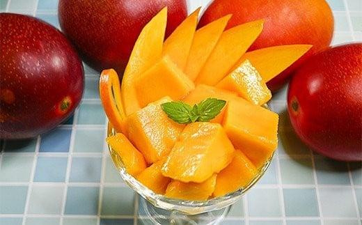 ãç¶ã®æ¥ã®ããã2026幎çºé 西éœåžç£å®çãã³ãŽãŒ 2LÃ2ç ç³åºŠ12床以äžïŒ26-11aïŒå®®åŽå®çãã³ãŽãŒ æç© ãã«ãŒã çã