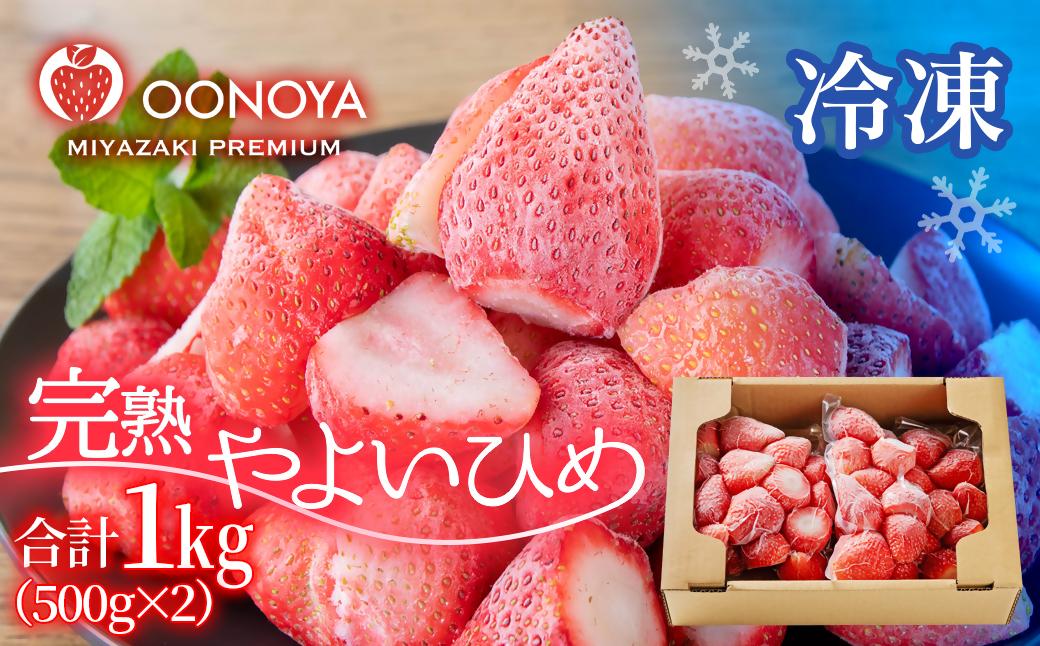 苺大野屋　完熟瞬間冷凍苺　自然栽培苺やよいひめ　1ｋｇ（500ｇ×2）＜28-7a＞