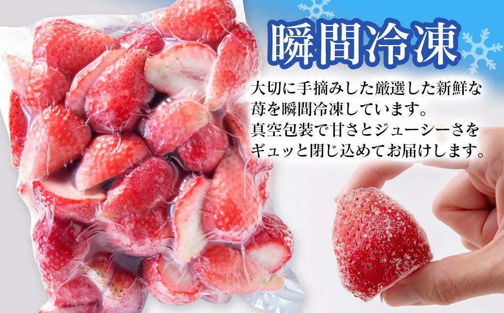 苺大野屋　完熟瞬間冷凍苺　自然栽培苺やよいひめ　1ｋｇ（500ｇ×2）＜28-7a＞