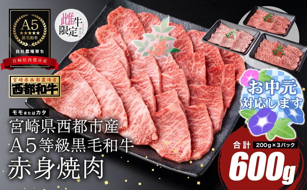 【お中元ギフト】『最高品質のA5等級 西都和牛』黒毛和牛赤身焼肉 600g（200g×3） カミチクファーム＜62-4a＞