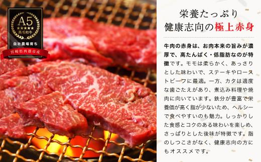 【お中元ギフト】『最高品質のA5等級 西都和牛』黒毛和牛赤身焼肉 600g（200g×3） カミチクファーム＜62-4a＞