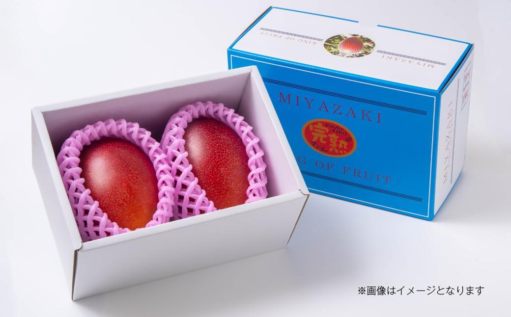 【お中元ギフト】最高級ブランド『太陽のタマゴ』2L×2個【糖度15度以上】宮崎県西都市産完熟マンゴー＜68-1a＞宮崎マンゴー 果物 フルーツ 甘い