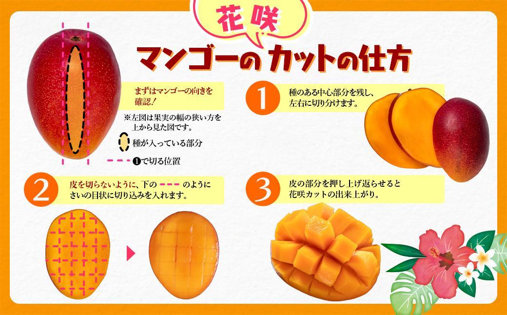 【お中元ギフト】最高級ブランド『太陽のタマゴ』2L×2個【糖度15度以上】宮崎県西都市産完熟マンゴー＜68-1a＞宮崎マンゴー 果物 フルーツ 甘い
