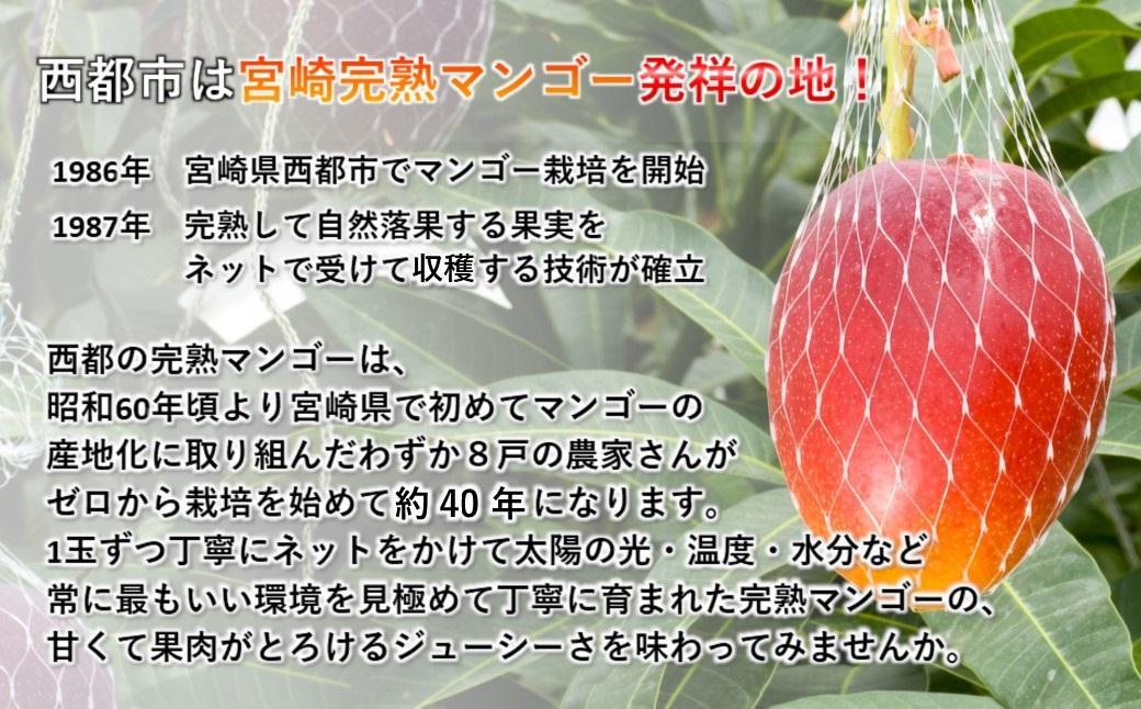 【お中元ギフト】最高級ブランド『太陽のタマゴ』2L×2個【糖度15度以上】宮崎県西都市産完熟マンゴー＜68-1a＞宮崎マンゴー 果物 フルーツ 甘い