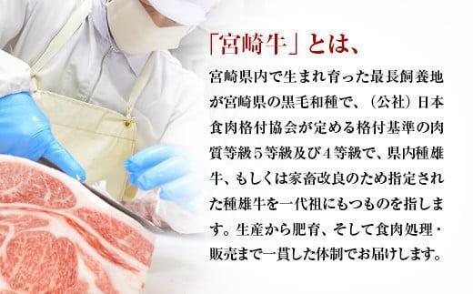【お中元ギフト】宮崎牛＆宮崎県産豚肉 焼肉10種盛り 食べ比べセット計600g 宮崎牛4等級以上 国産牛 豚肉  ブランド牛 ミヤチク 内閣総理大臣賞4連覇＜47-3b＞●